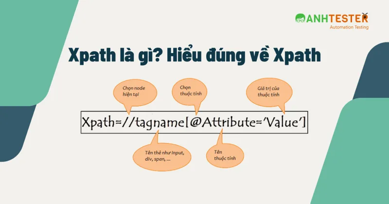 Xpath là gì? Hiểu đúng về Xpath