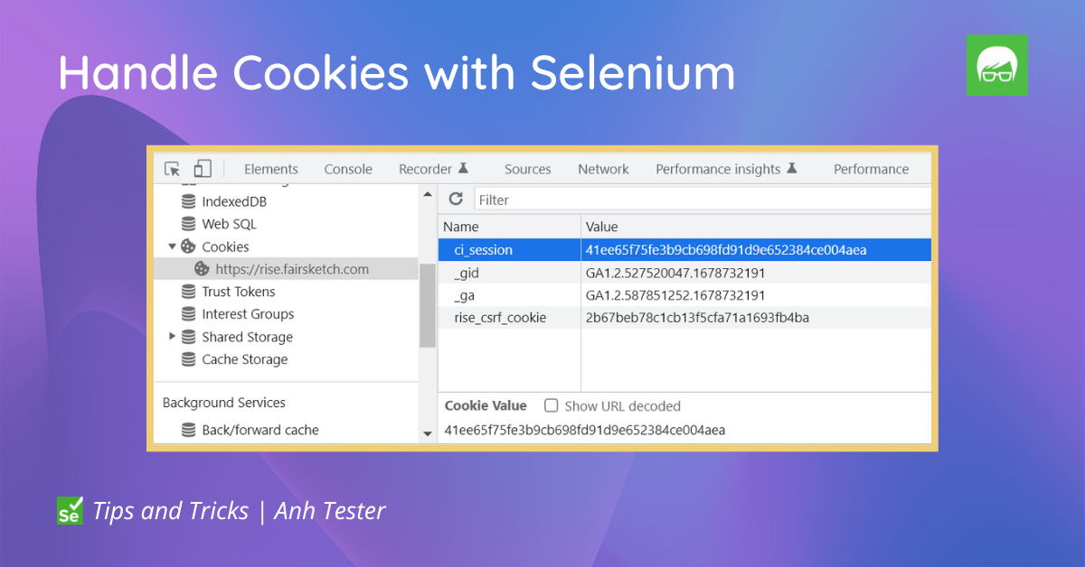 Handle Cookies on website using Selenium